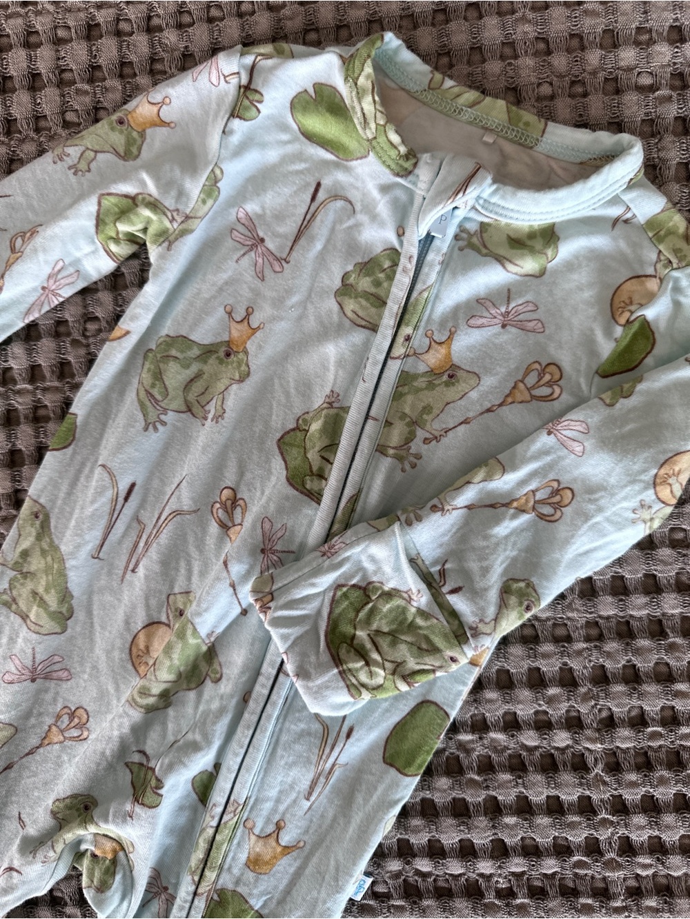 Posh Peanut Light Blue Frog-Print Kids Pajamas Sleeper